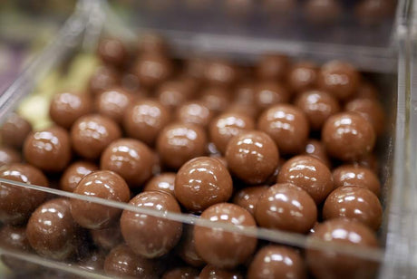 cara memulai usaha cokelat rumahan